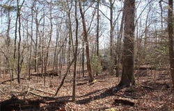 001 TBD Versailles  DR, Bull Shoals, AR 72619