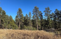 Smith Ct, Roundup, MT 59072