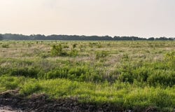 ELM BRANCH lot: 19, Elm Mott, TX 76640