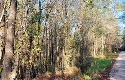 PID# 36299 County Road 828, Vidor, TX 77662