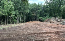 0 County Road 61, Roanoke, AL 36274