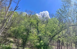 35 Burch Hill, Veteran, NY 14864
