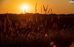 001 Sunset Rd, Great Bend, KS 67530