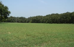 162 Pr 2162, Iredell, TX 76649