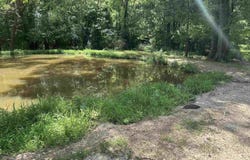 9.1 Ham Road, Athens, AL 35611