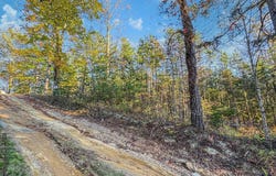 Lot 10 Dry Meadow Dr., Adams, KY 41201