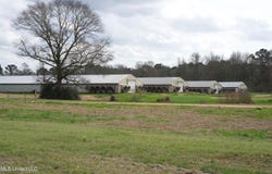 48 Fulgham Road, Tylertown, MS 39667