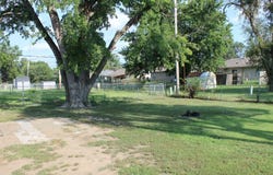 1443 Arapahoe Ave, Salina, KS 67401