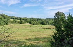 002 Ridge, Heber Springs, AR 72543