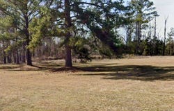 762 Aldridge, Buena Vista, GA 31803