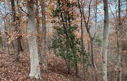 3942 Ridge Road, Greenville, AL 36037