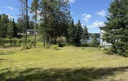 3448 High Pine Court, Wolverine, MI 49799