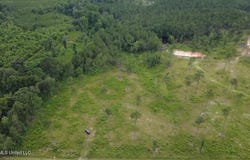 Kirklin Road, Tylertown, MS 39667