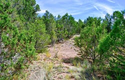 12141 Nm State 14, Cedar Crest, NM 87008