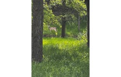 16 Lagoon, May, TX 76857