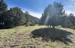 29655 HWY 64, Ute Park, NM 87749