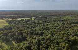 33 acres M/L Greene 710, Paragould, AR 72450