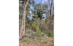 McCain, Foxworth, MS 39483