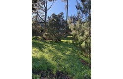 Spencer, Cambria, CA 93428