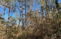 1059 Candy Lane, McComb, MS 39648