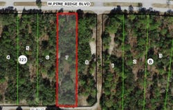 3064 W Pine Ridge Boulevard, Beverly Hills, FL 34465