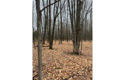 0 Webster Street, Malone, NY 12953