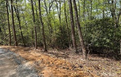 John Delk Road unit: 3, Hendersonville, NC 28792