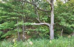 2400 Maple Road, Manistee, MI 49660