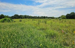 220 Hawkins Ridge Court, Troy, MO 63379
