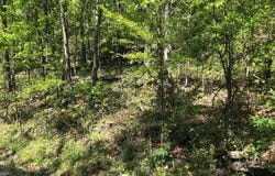Tract 14 Weldon Rd., Edgemont, AR 72067