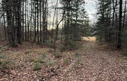 Off PARK RD S, Butternut, WI 54514