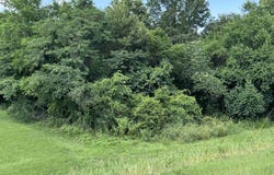 01 Hwy 72, Cherokee, AL 35616