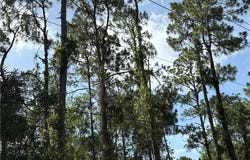 5th St Sw, NAPLES, FL 34117
