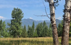 116 Klakken Road, Noxon, MT 59853