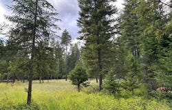 NHN MT Hwy 200, Trout Creek, MT 59874