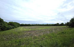 Legacy Meadows lot: 3, Martinsville, IN 46151