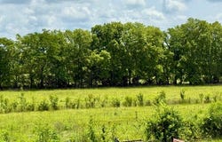 380 Robinson Bridge Road, Woodworth, LA 71346