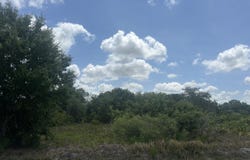 21617 NW 286th Street, Okeechobee, FL 34972
