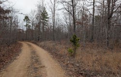 10648 Sydney Lane, Birch Tree, MO 65438