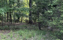 Lot 213 Bobwhite Road, Brandenburg, KY 40108