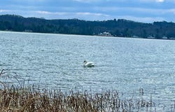 3171 Midway Drive, Onekama, MI 49675