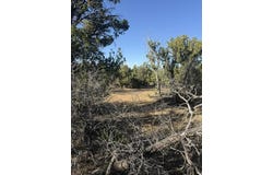 198 Jubilee Trail, Ramah, NM 87321