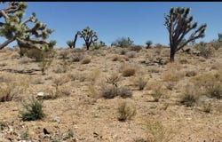18432 N LAUREL, Dolan Springs, AZ 86441
