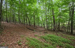 1202 PACK HORSE ROAD, CROSS JUNCTION, VA 22625