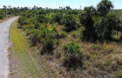 Farirview Drive, North Port, FL 34288