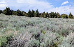 127 Panorama Drive, White Sulphur Springs, MT 59645