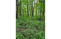 11897 SILVERTHORN (TR 86 RT T438) Road, Edinboro, PA 16412
