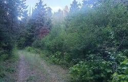 Wallace Creek Road, Clinton, MT 59825