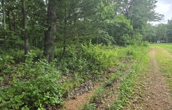 Tbd County Road 481w, Cross Timbers, MO 65634