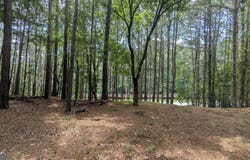 3779 Lawrenceville Suwanee Road, Suwanee, GA 30024